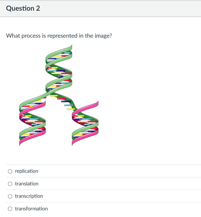 Question 2 What process is represented in the