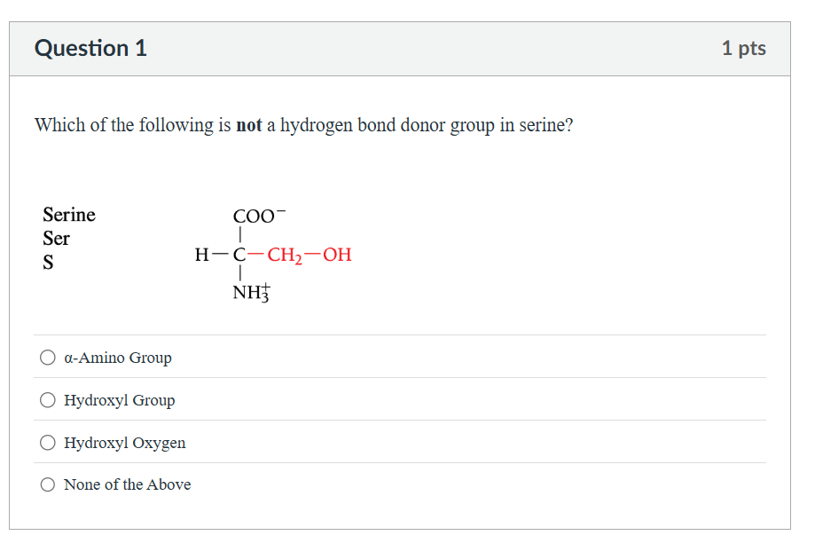 which of the following is not a hydrogen bond