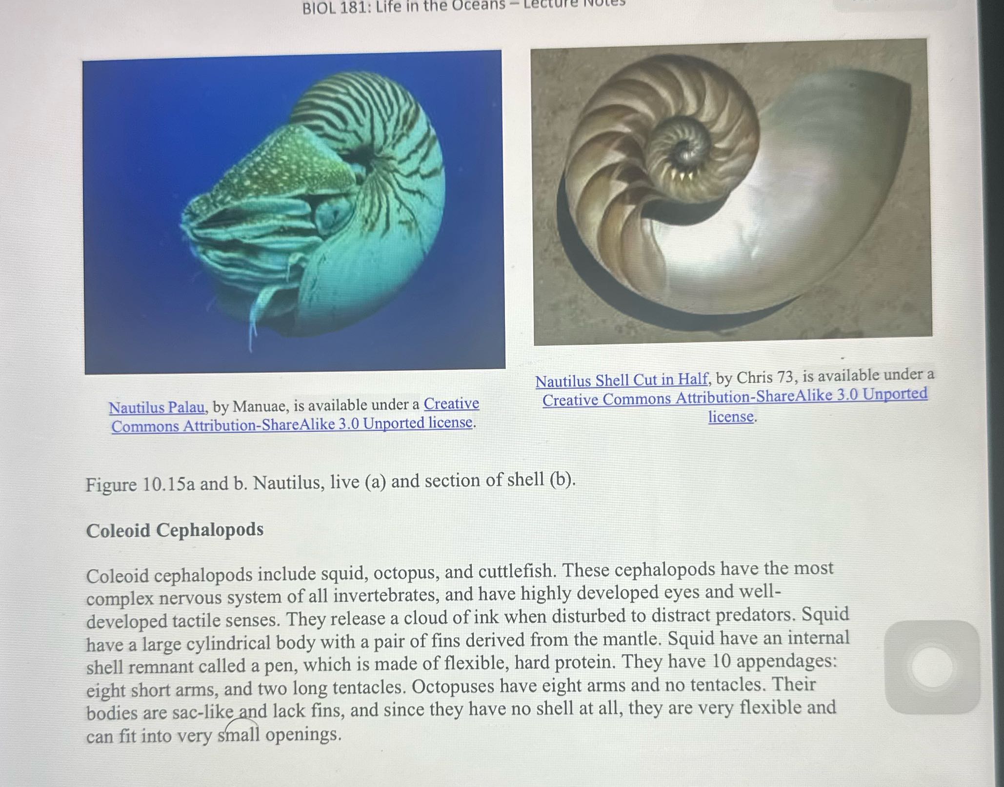 13 (4 points) What is the characteristic body