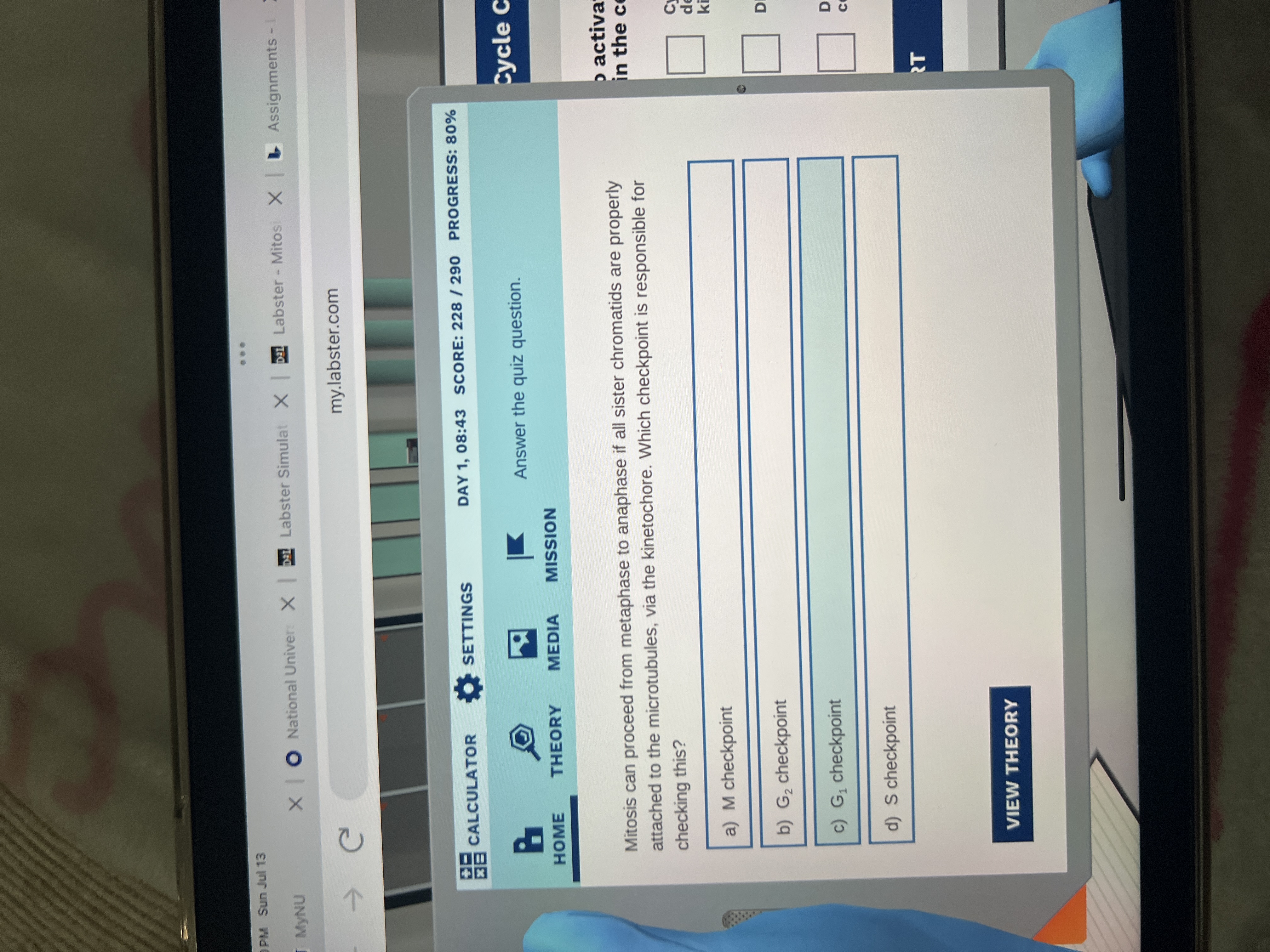 PM Sun Jul 13 . . . MyNU X | O National Univer: X