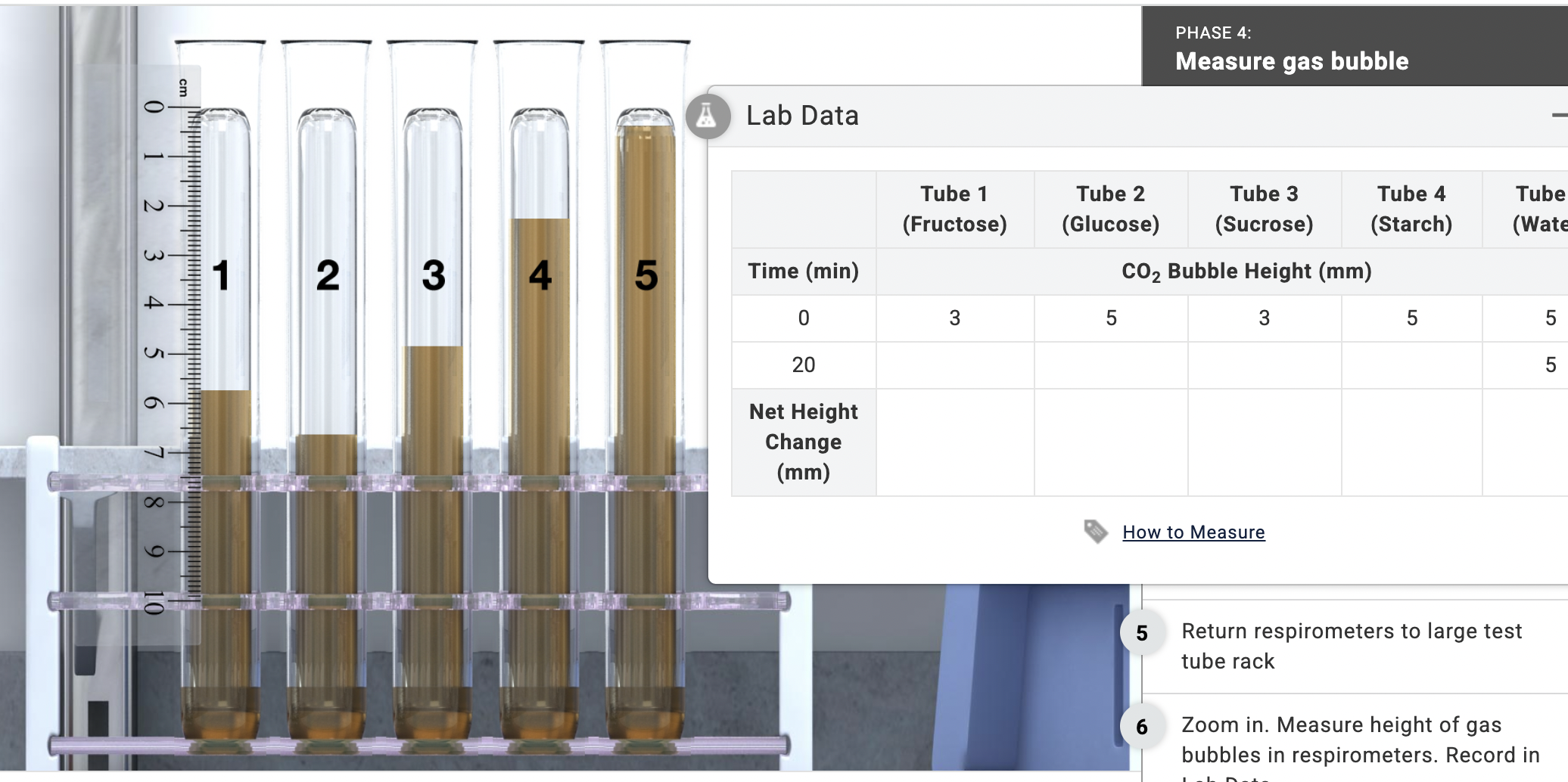 find answers PHASE 4: Measure gas bubble Lab Data