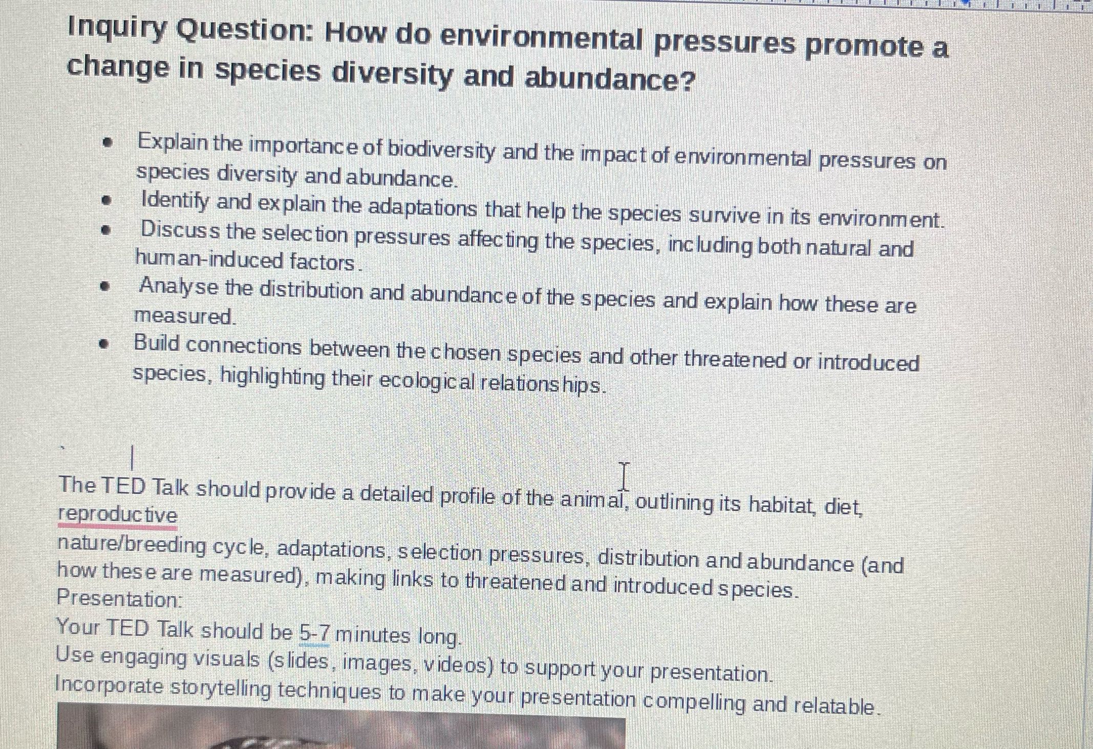 Create Ted talk notes for me using the