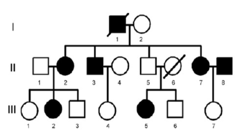 Which generation does NOT have any deceased