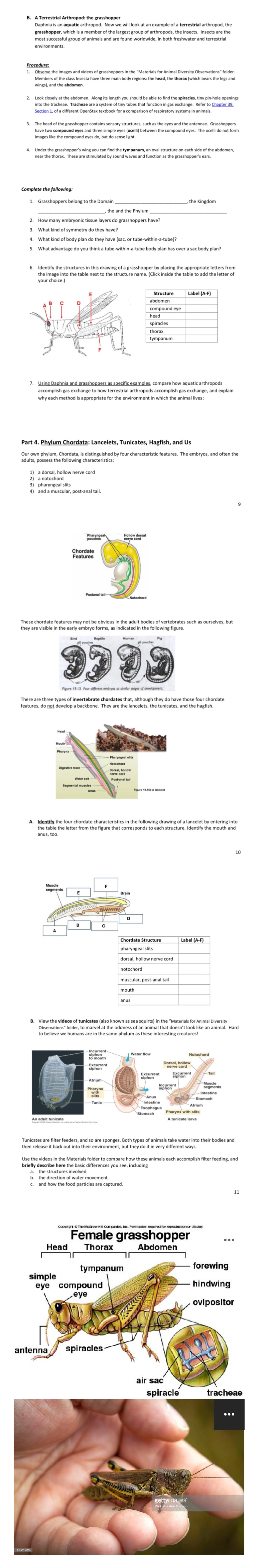 Can you help my assignment please? The links is
