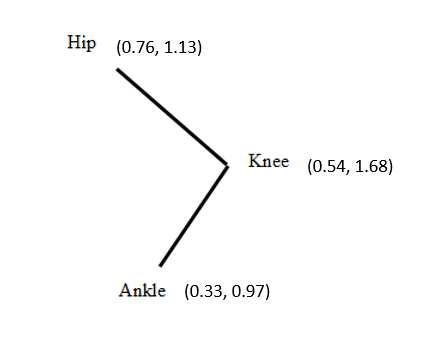 Based on the figure, which quadrant is the thigh