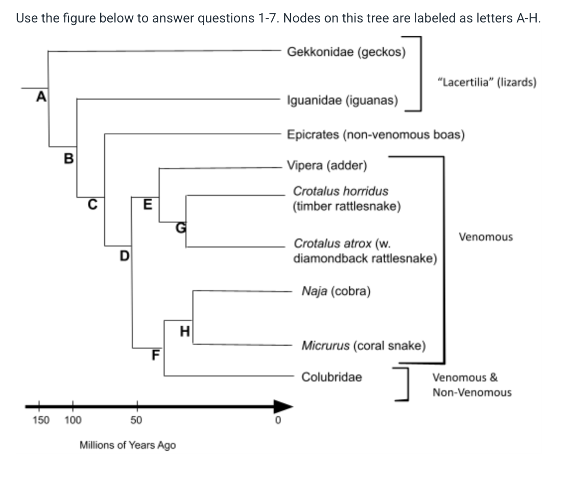 Use the figure below to answer questions 1-7.