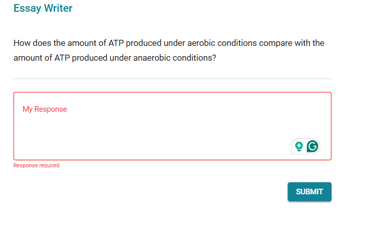 short and 7th grade Essay Writer How does the