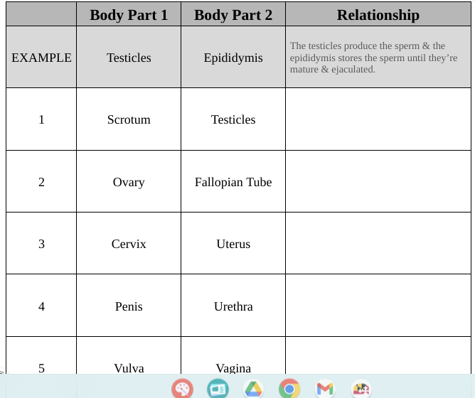 Body Part 1 Body Part 2 Relationship The