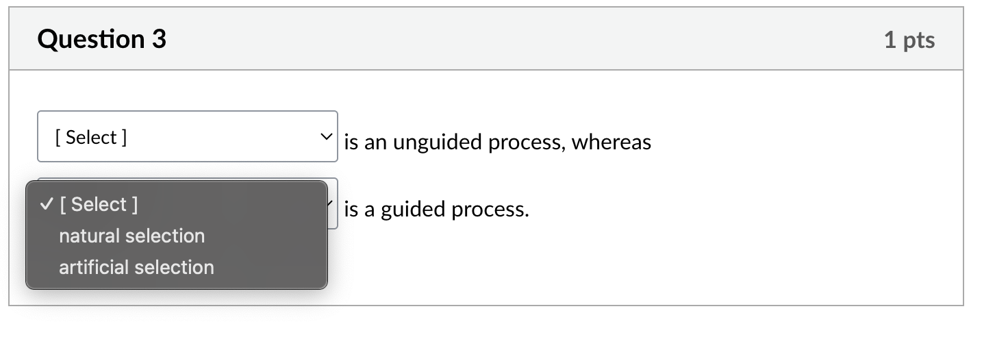 tell me Question 3 [ Select ] '| is an unguided