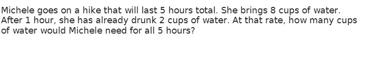 Michele goes on a hike that will last 5 hours