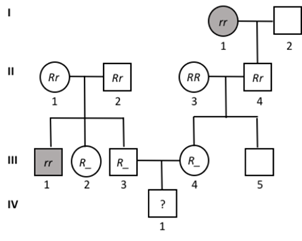 What is the probability that III-3 is a carrier
