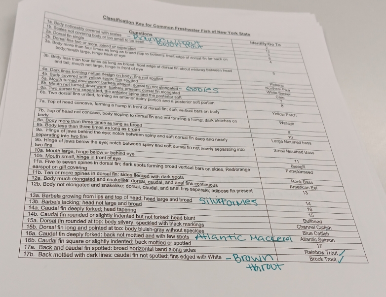 Classification Key for Common Freshwater Fish of