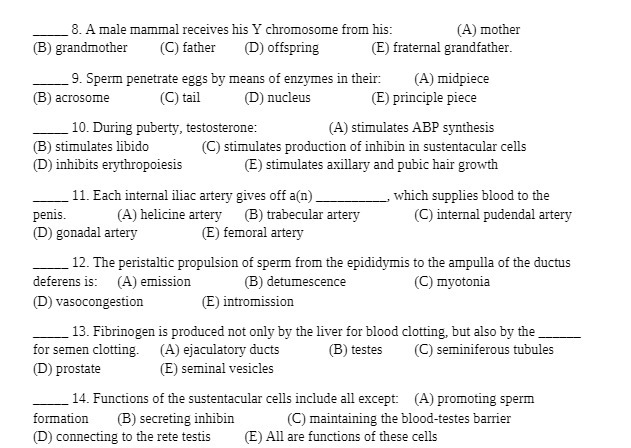 8. A male mammal receives his Y chromosome from