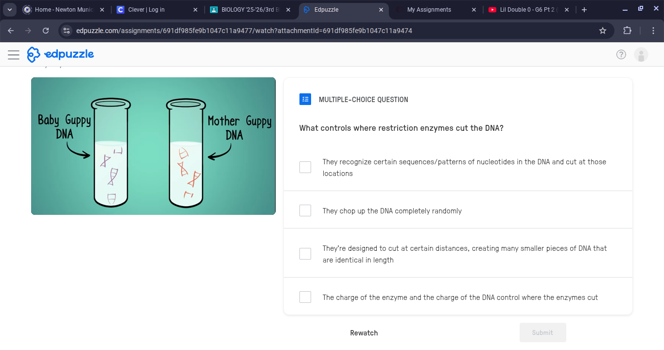 n ~} Home - Newton Munic x | C Clever | Log in X