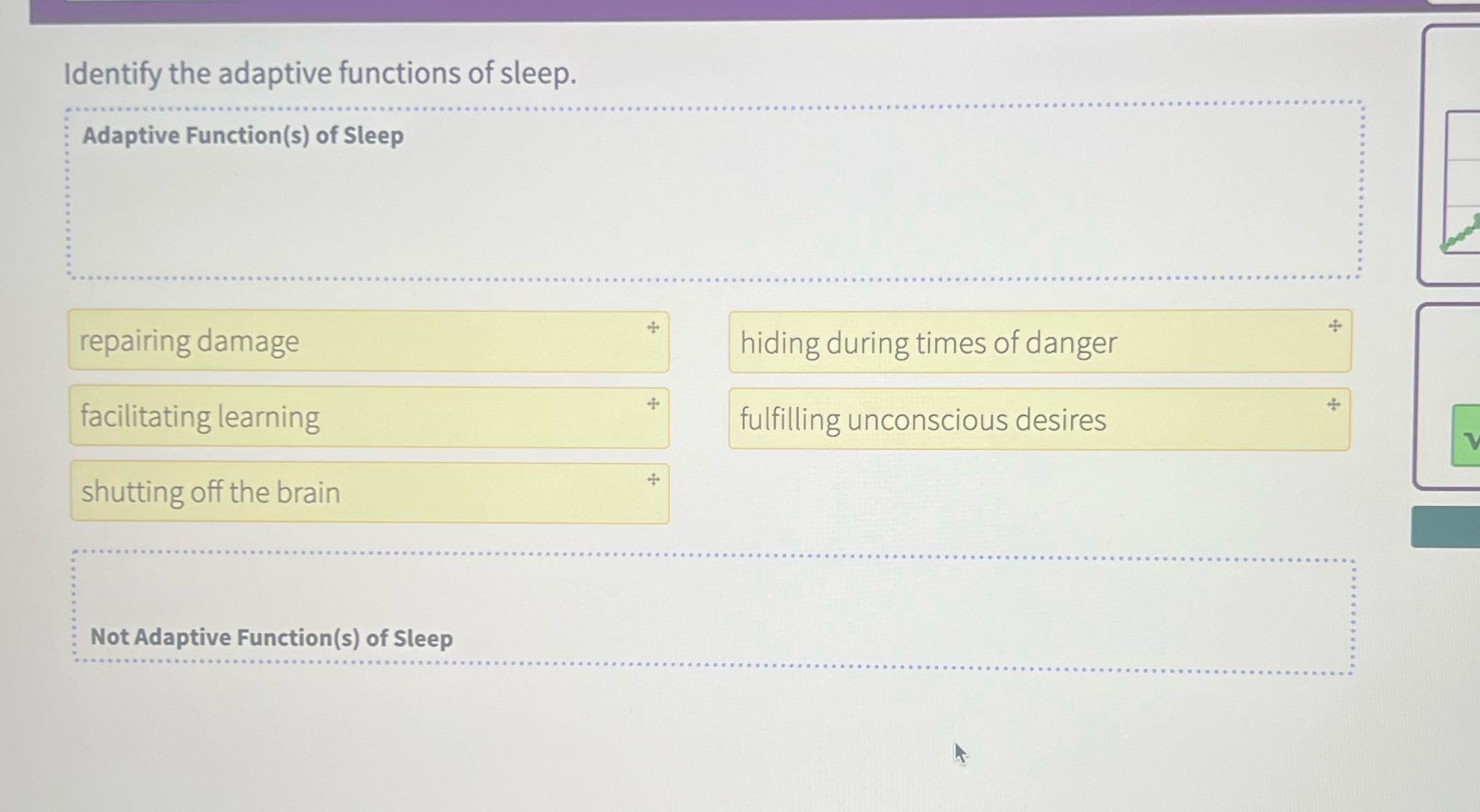 Identify the adaptive functions of sleep.