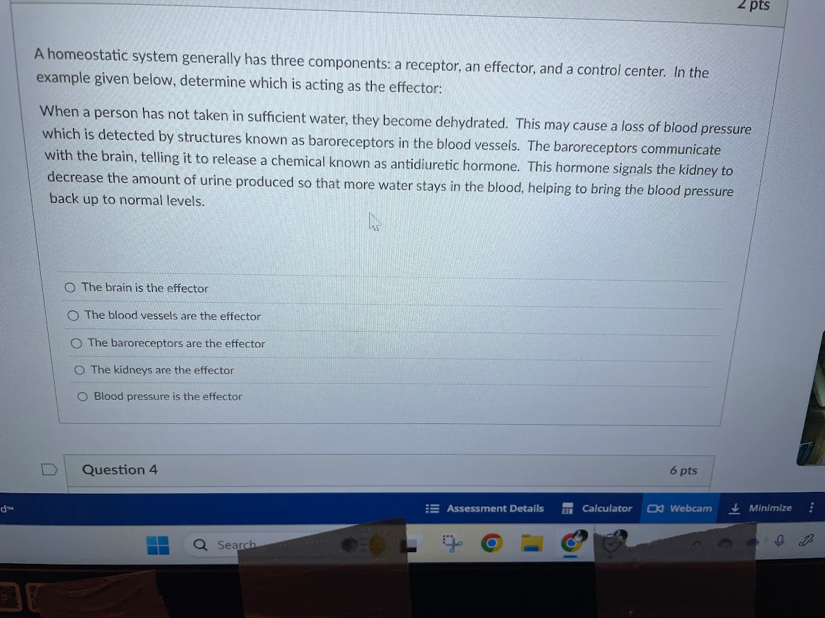 solve pts A homeostatic system generally has