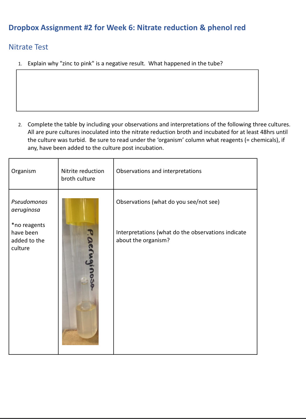 Dropbox Assignment #2 for Week 6: Nitrate