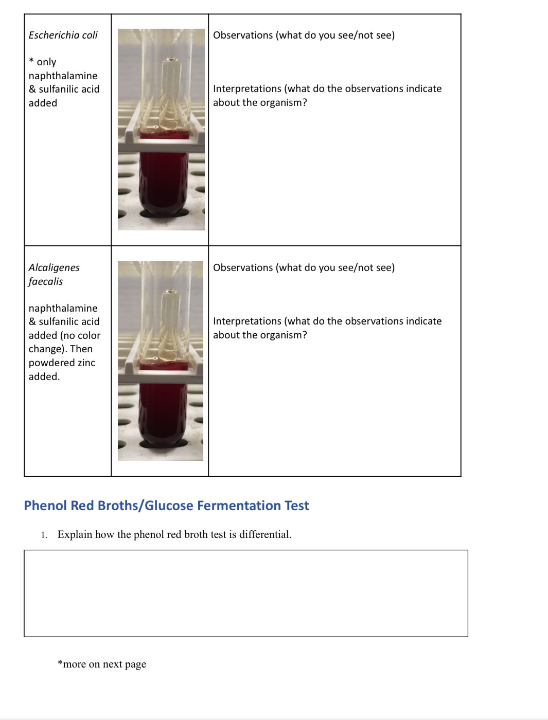 Dropbox Assignment #2 for Week 6: Nitrate