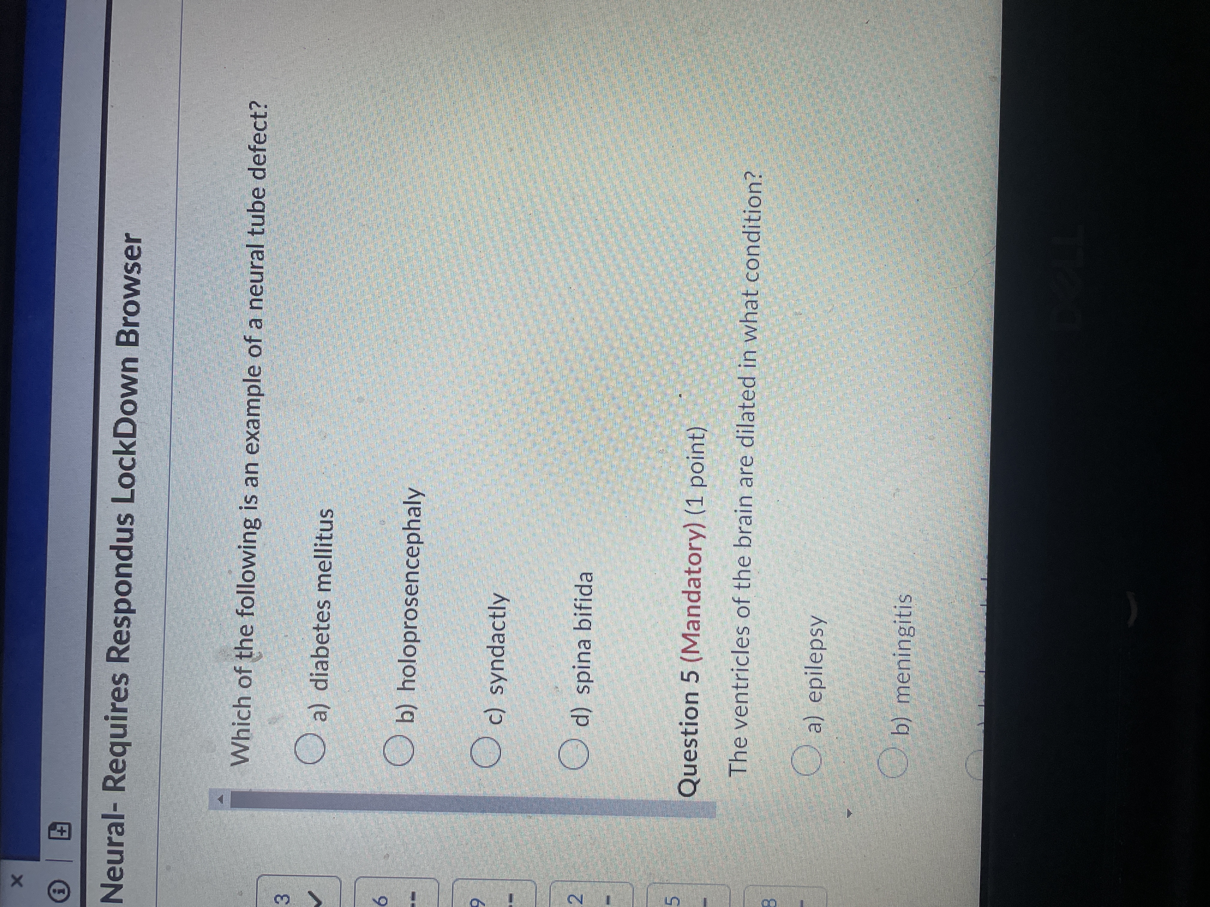 X Neural- Requires Respondus LockDown Browser