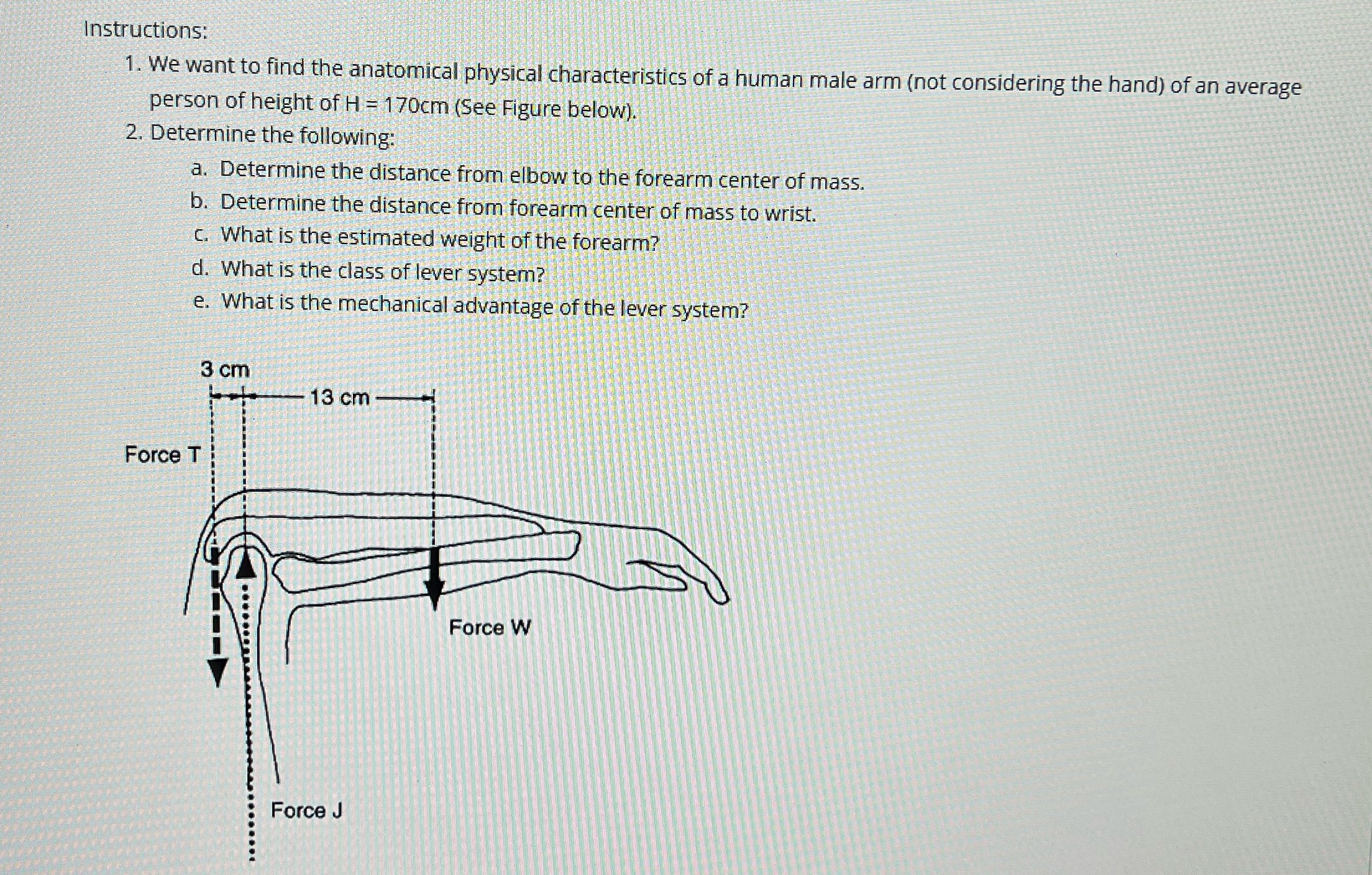 Instructions: 1. We want to find the anatomical