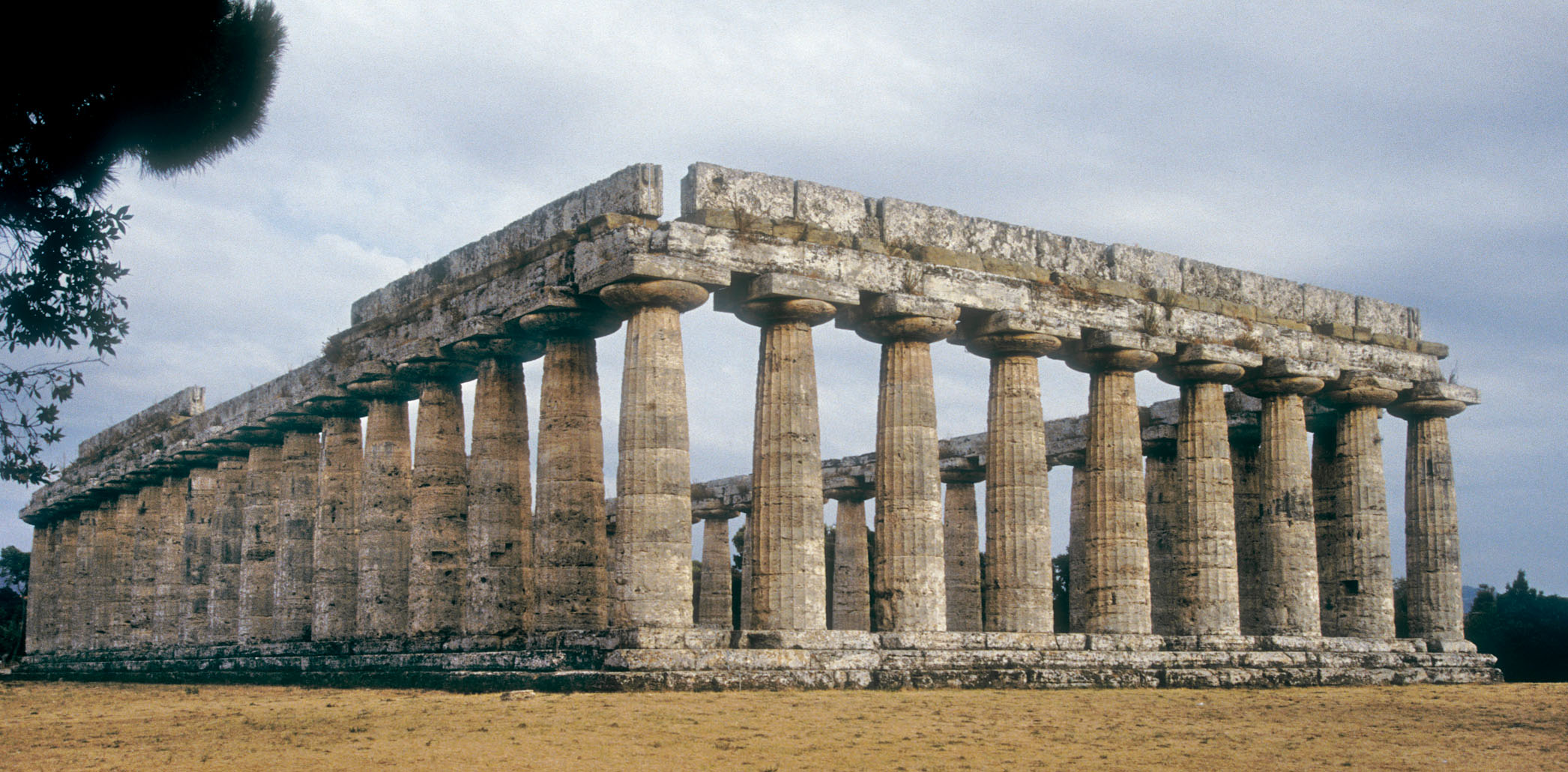 What kind of column is this? ionic Doric