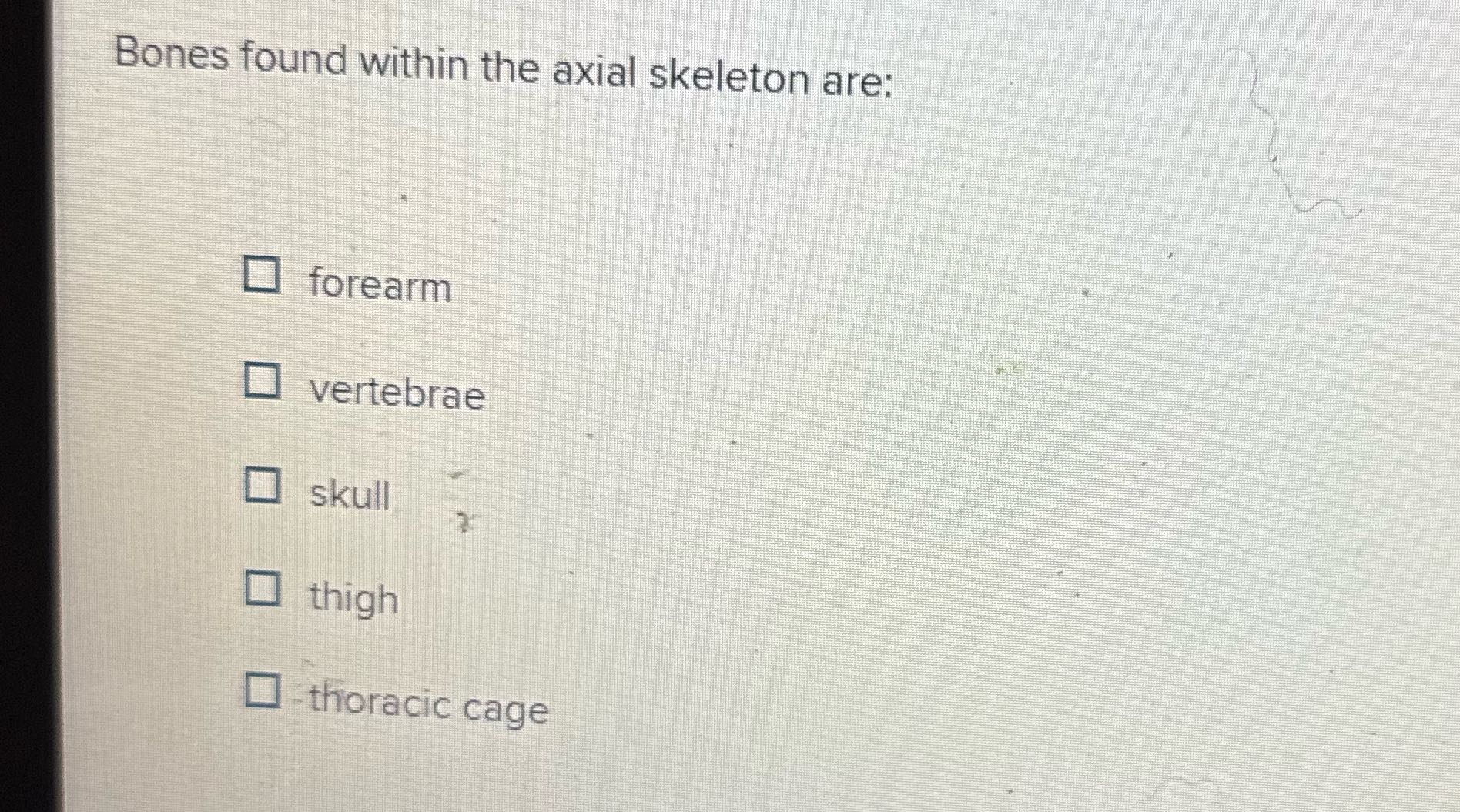 Bones found within the axial skeleton are: