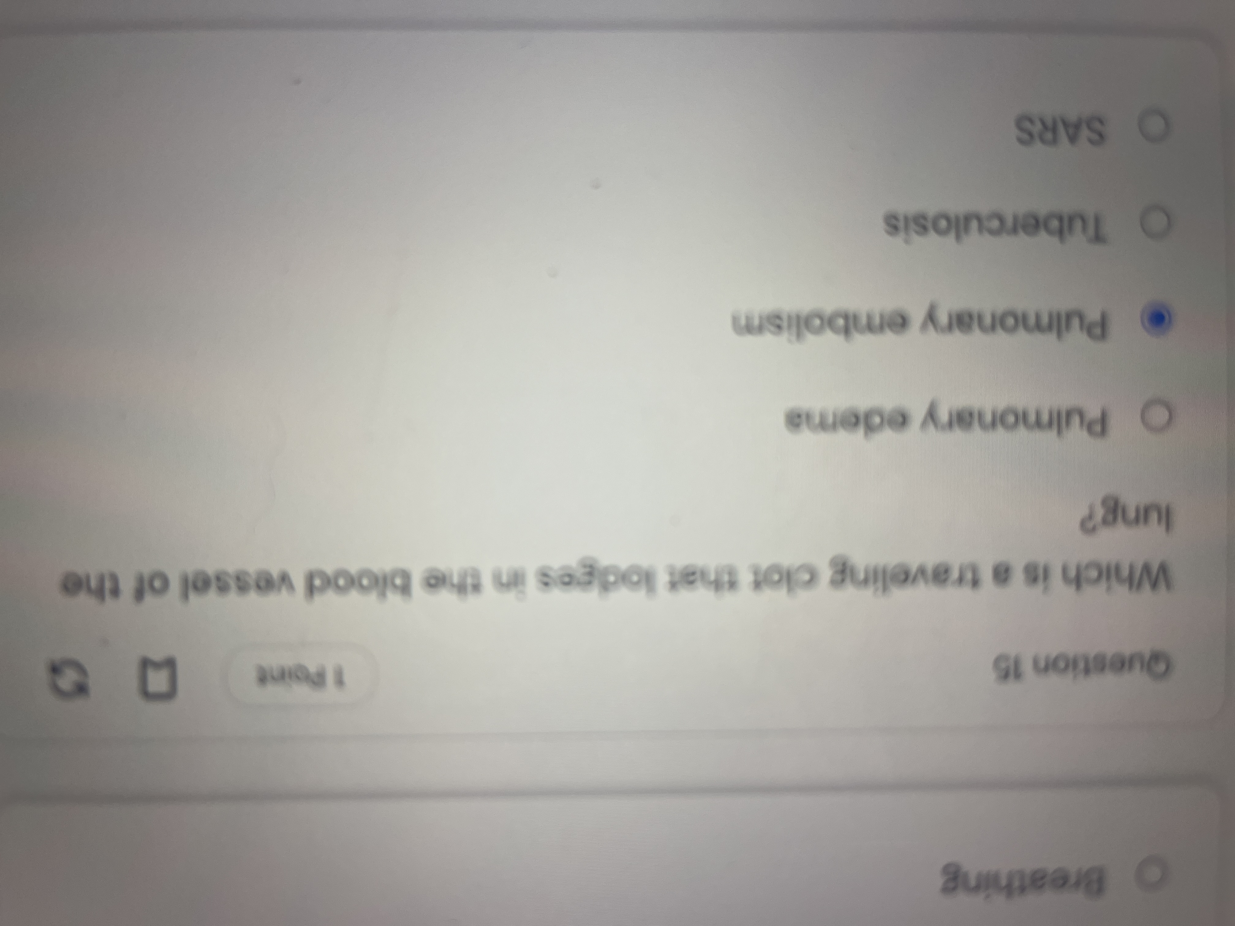 Solve Breathing Question 15 1 Point D & Which is