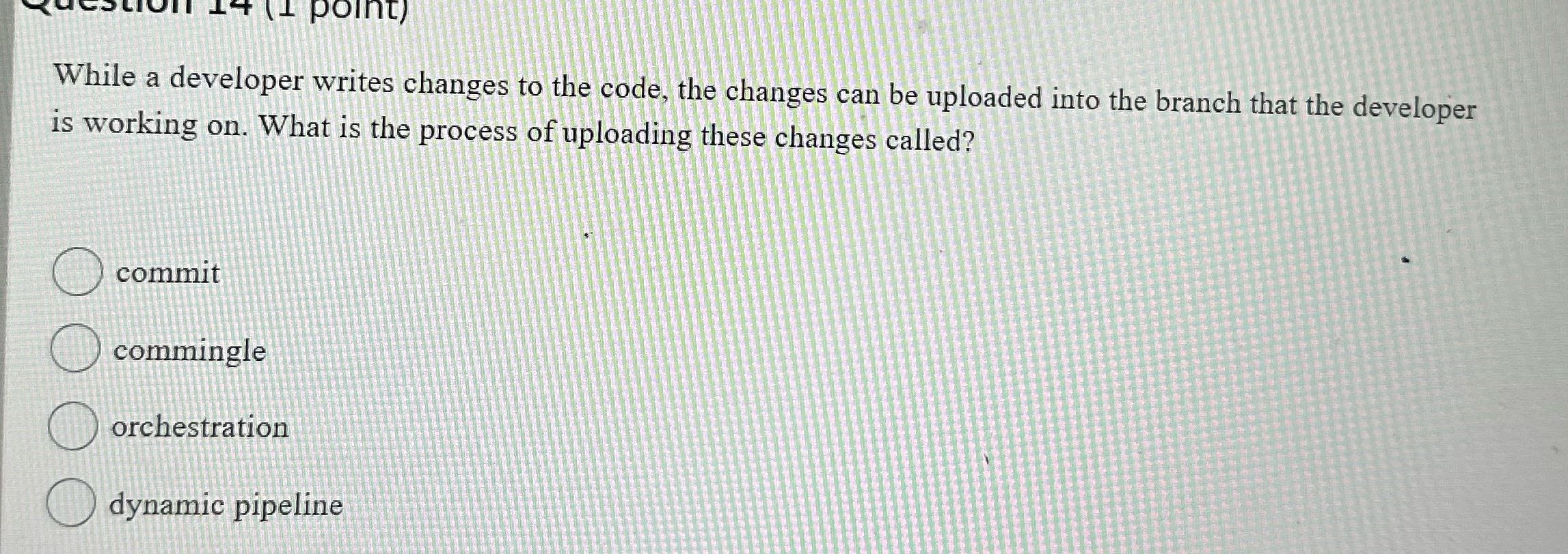 Solve If (1 Point) While a developer writes