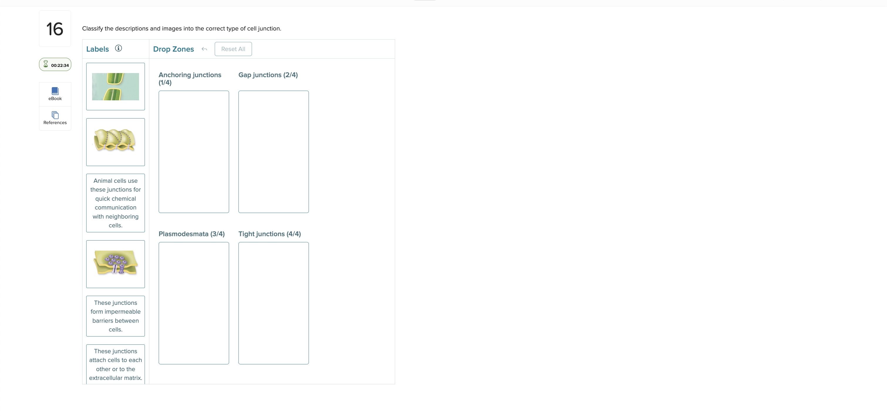 solve 16 Classify the descriptions and images