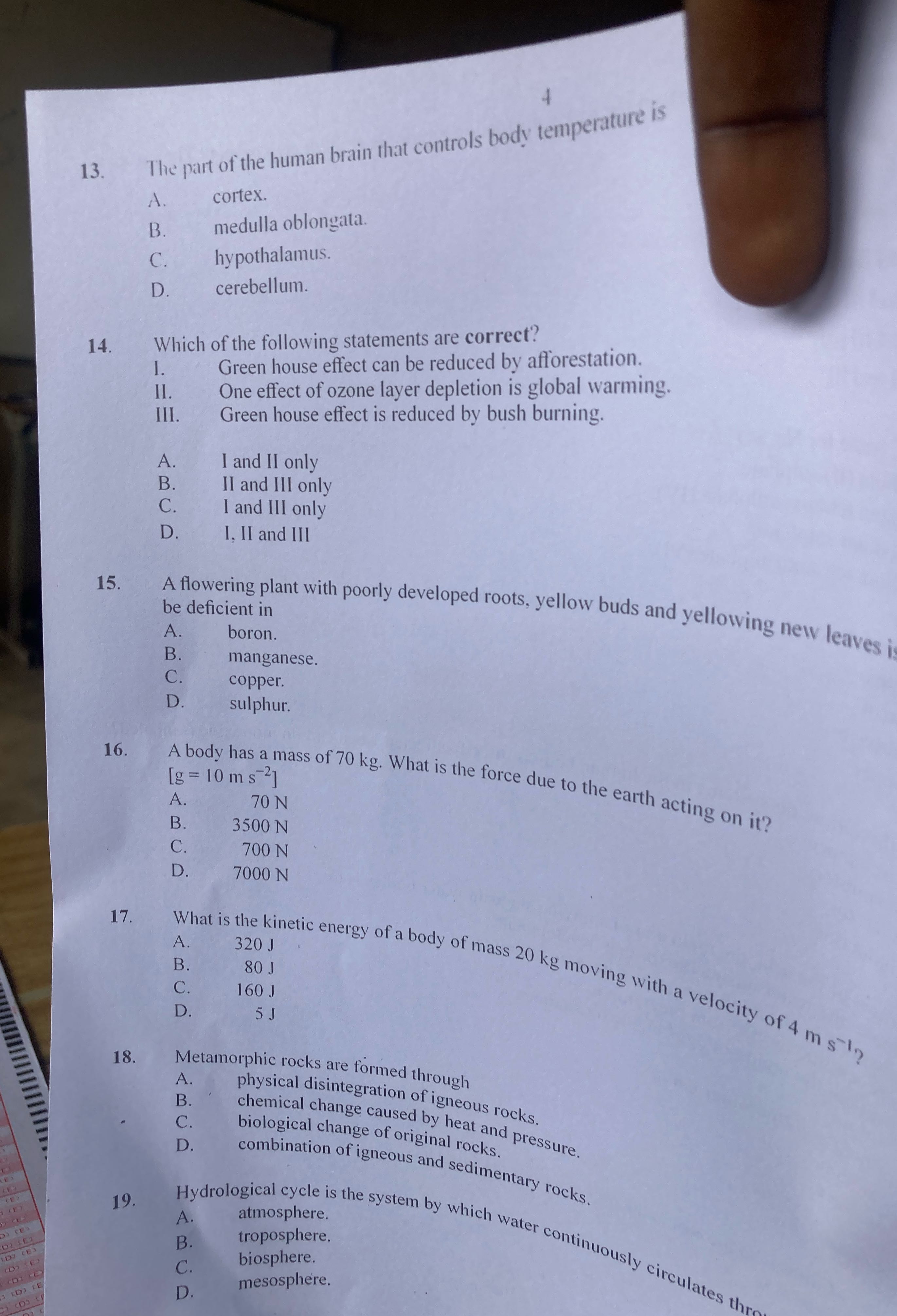 I'm The part of the human brain that controls