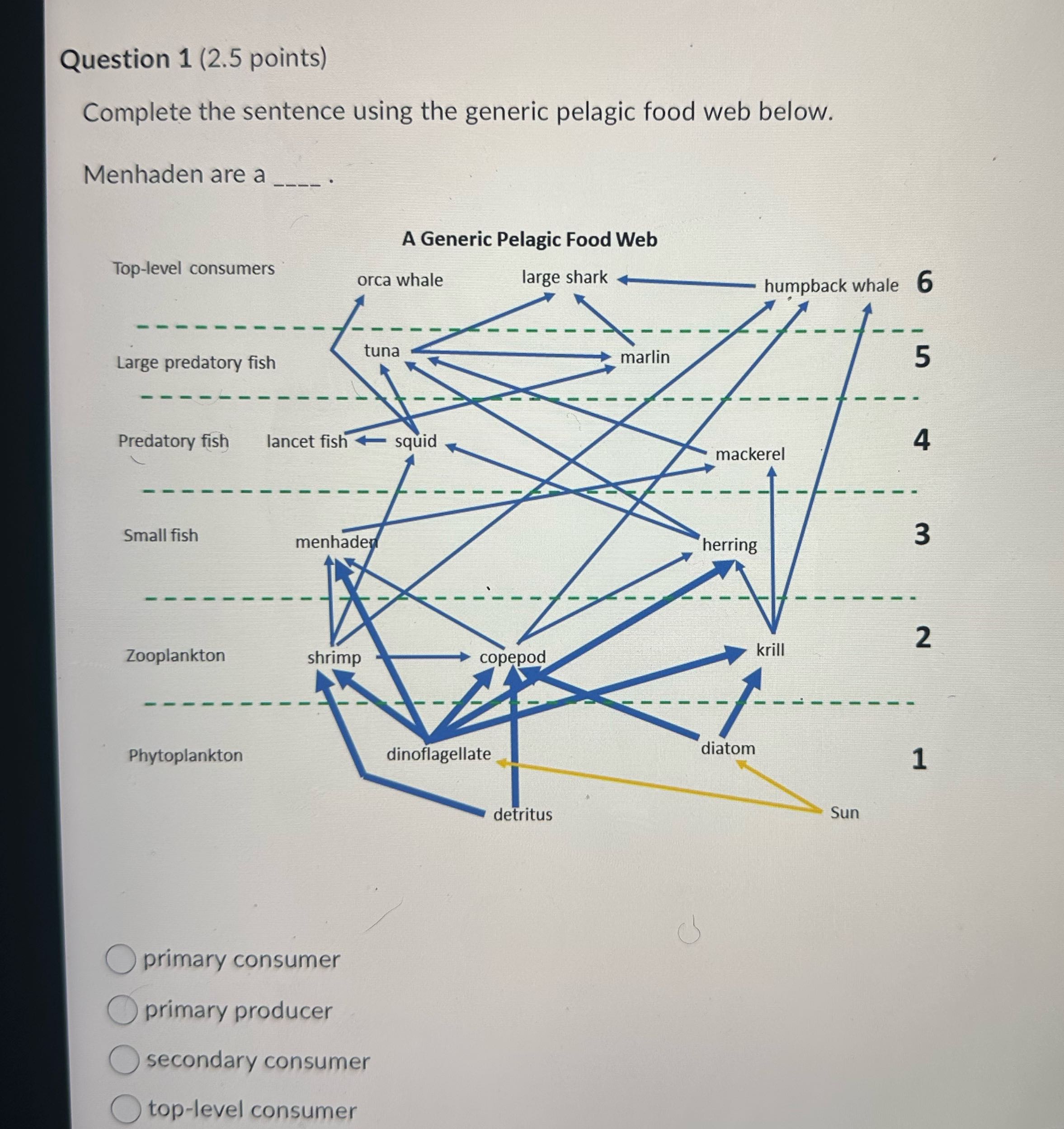 What's the answer Question 1 (2.5 points)