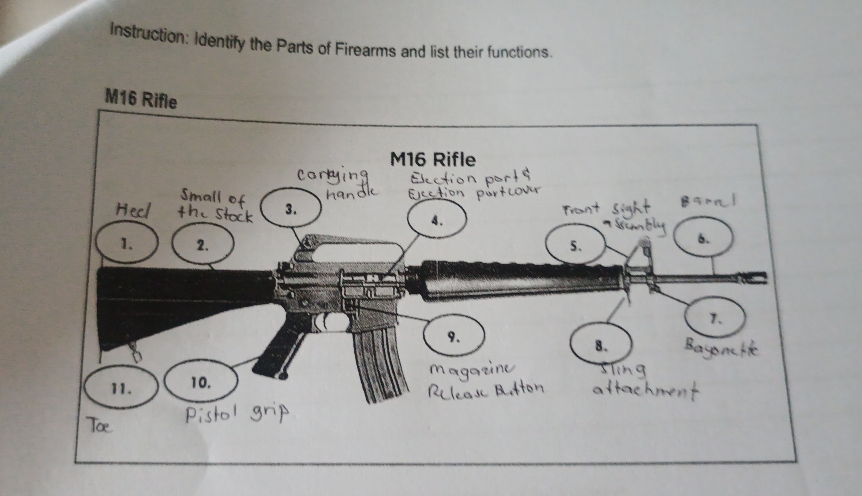 Diffwrwn Instruction: Identify the Parts of