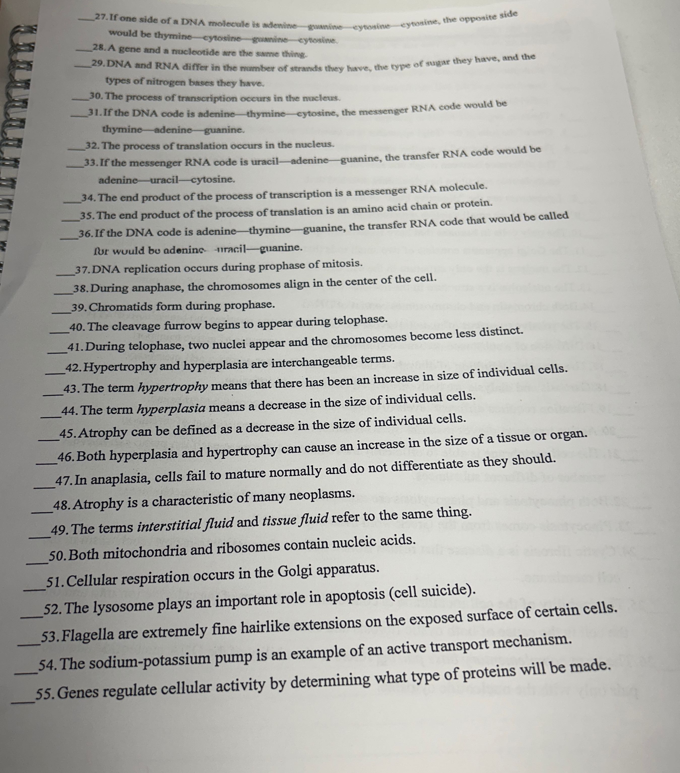 True or false _27. If one side of a DNA molecule