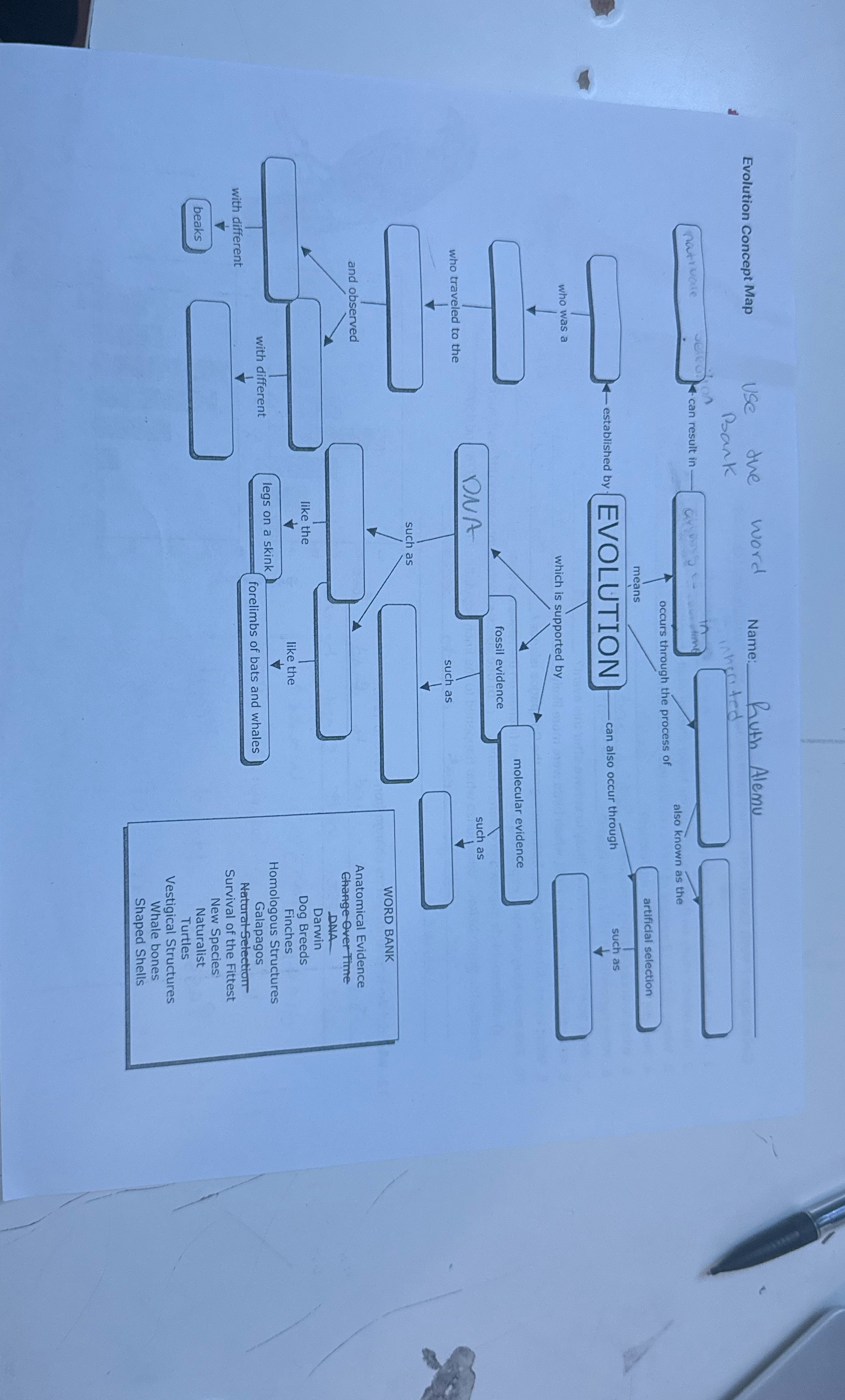 it and fill in the banks based on the word bank