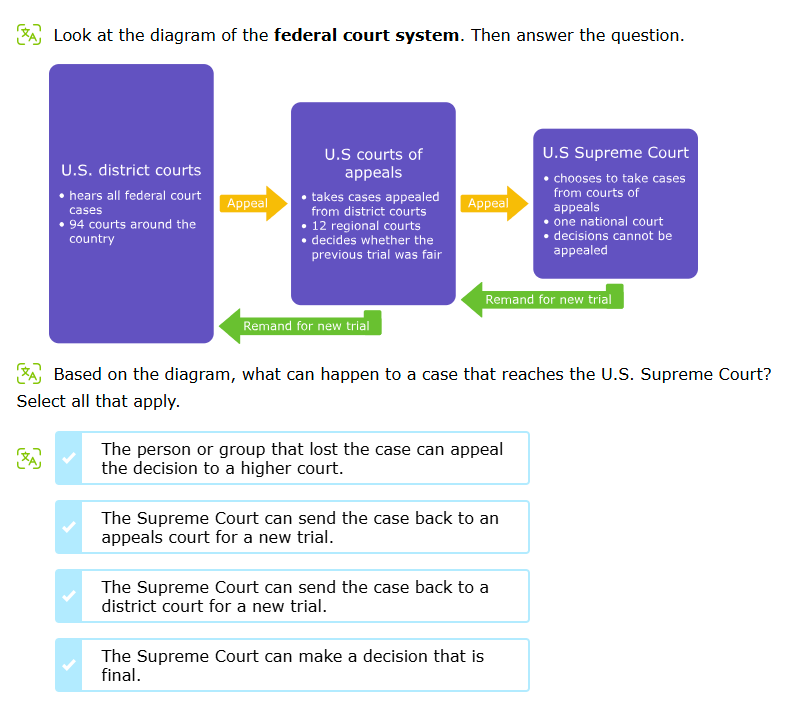 A Look at the diagram of the federal court