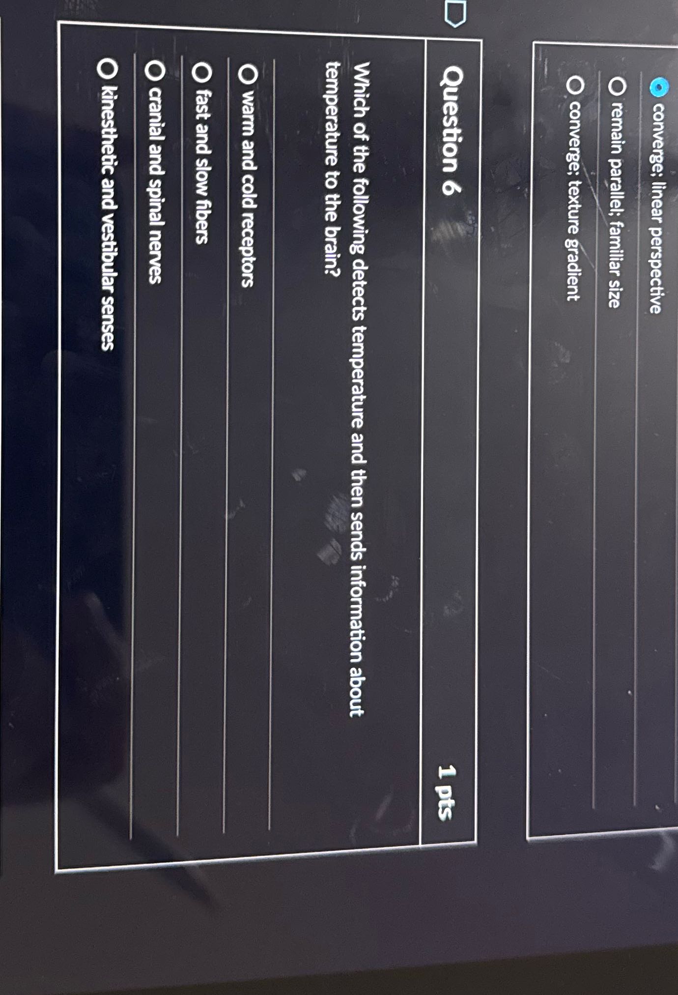 what is the answer converge; linear perspective O