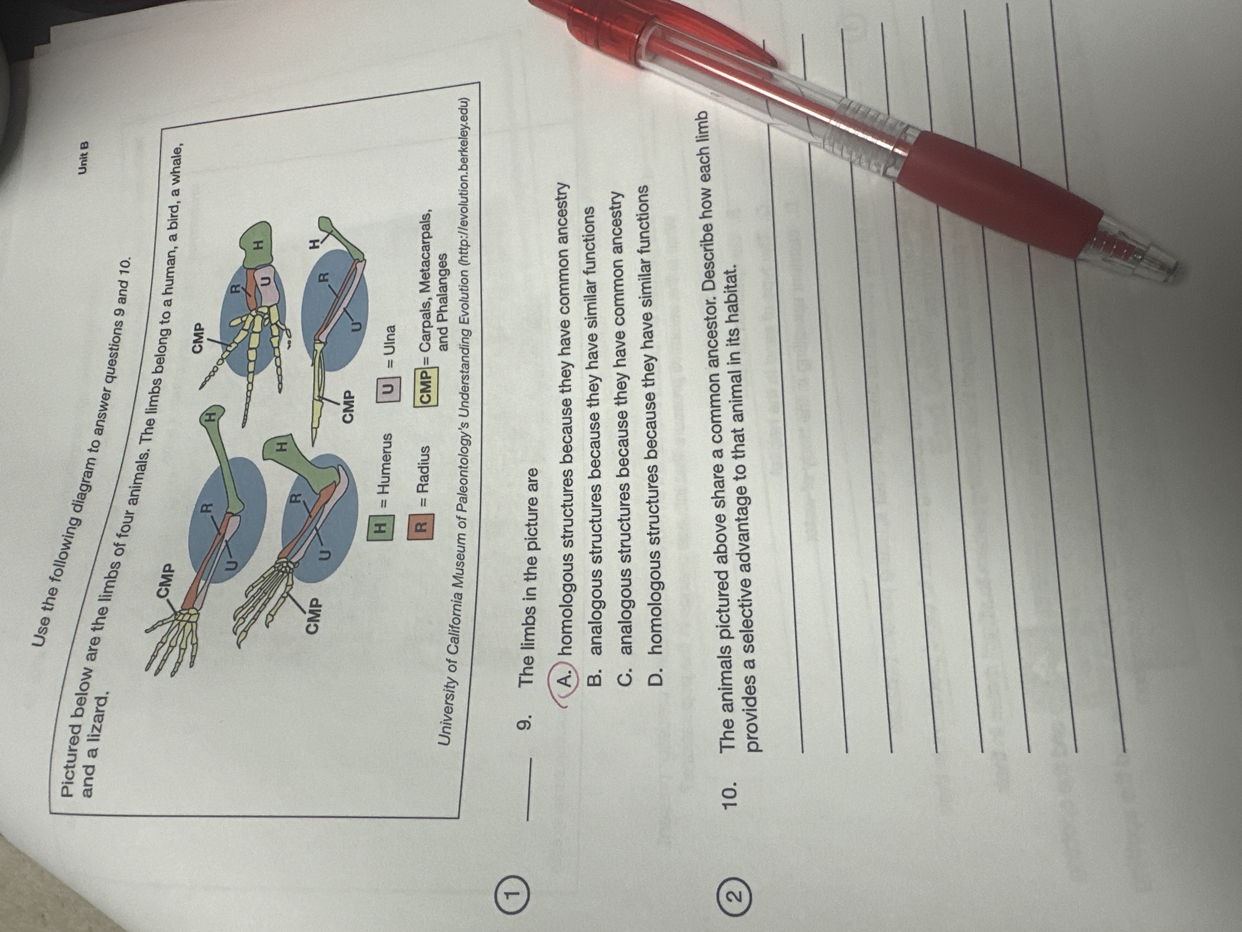 Help with 10. Use the following diagram to answer