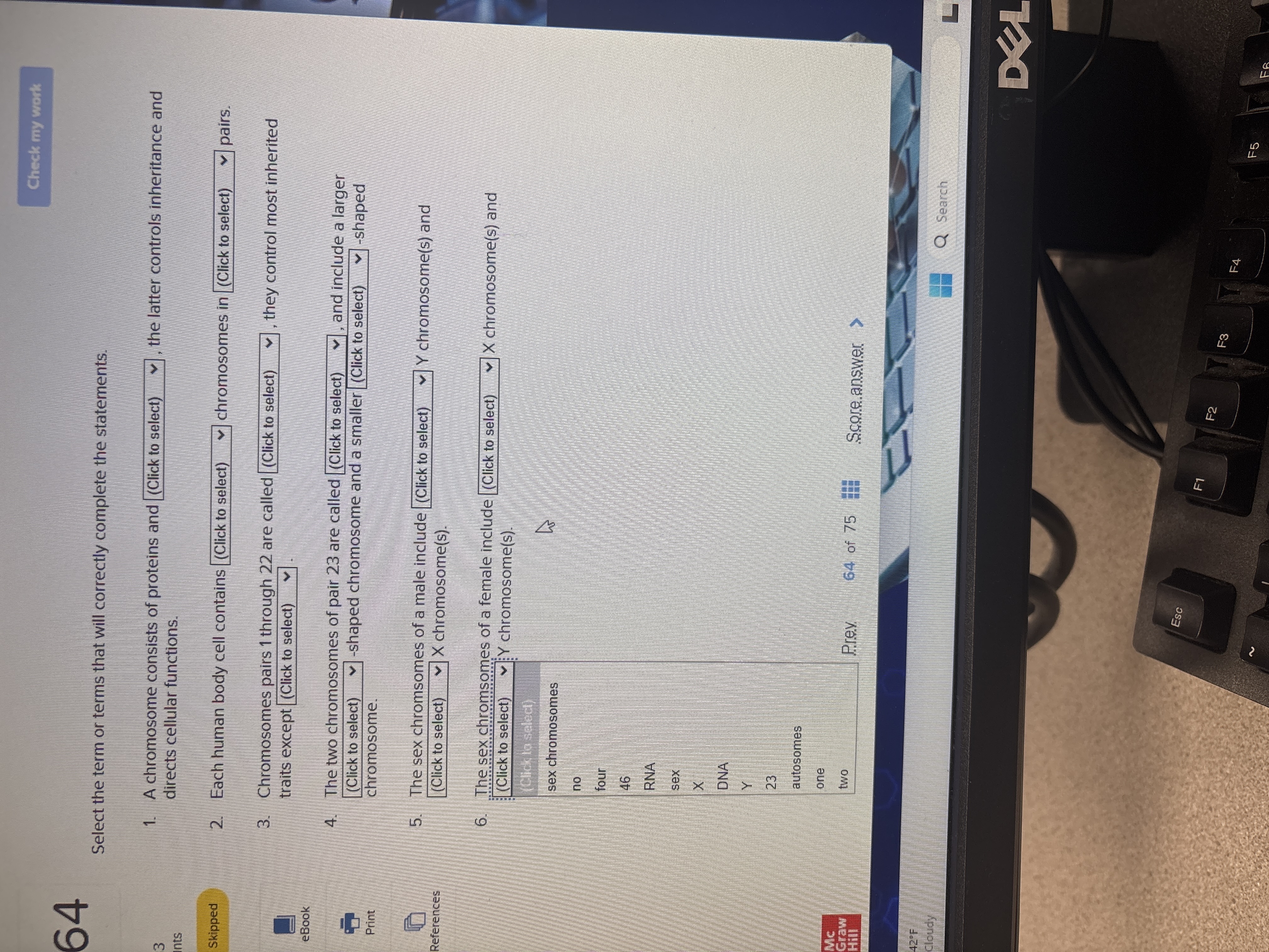 Pai Check my work 64 Select the term or terms