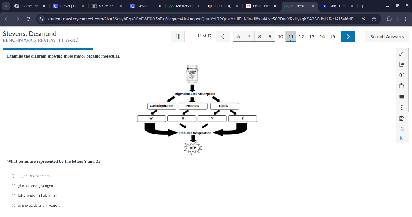 n N Home - Ne x | C Clever | Po X | 2 SY 25-26 E