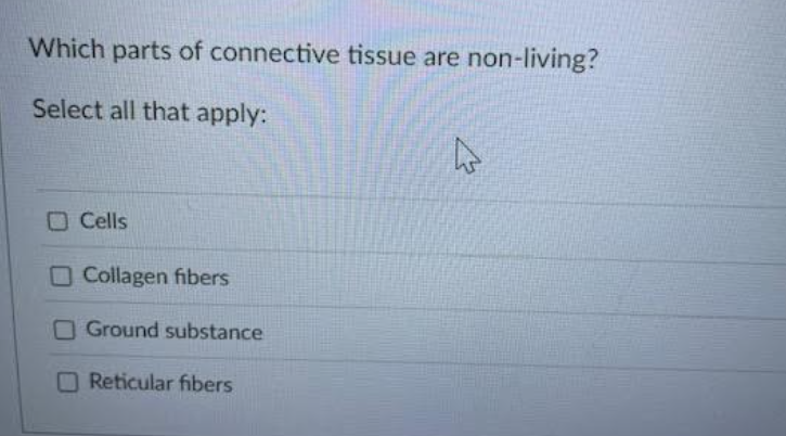 solve Which parts of connective tissue are