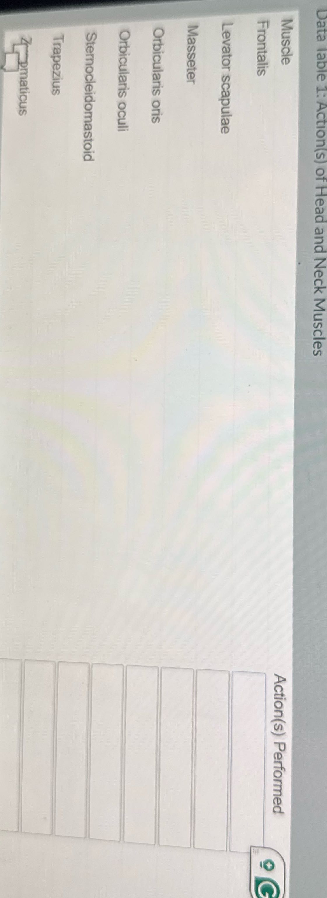 Data lable 1: Action(s) of Head and Neck Muscles