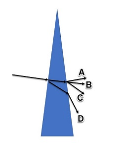 Select one: a. B b. D c. A d. C The diagram below