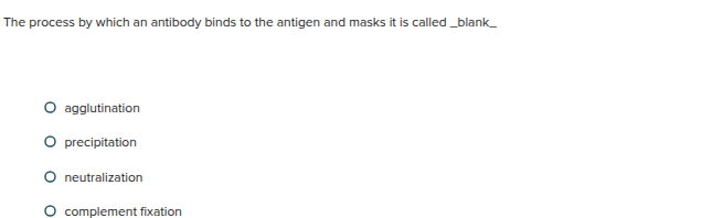 The process by which an antibody binds to the