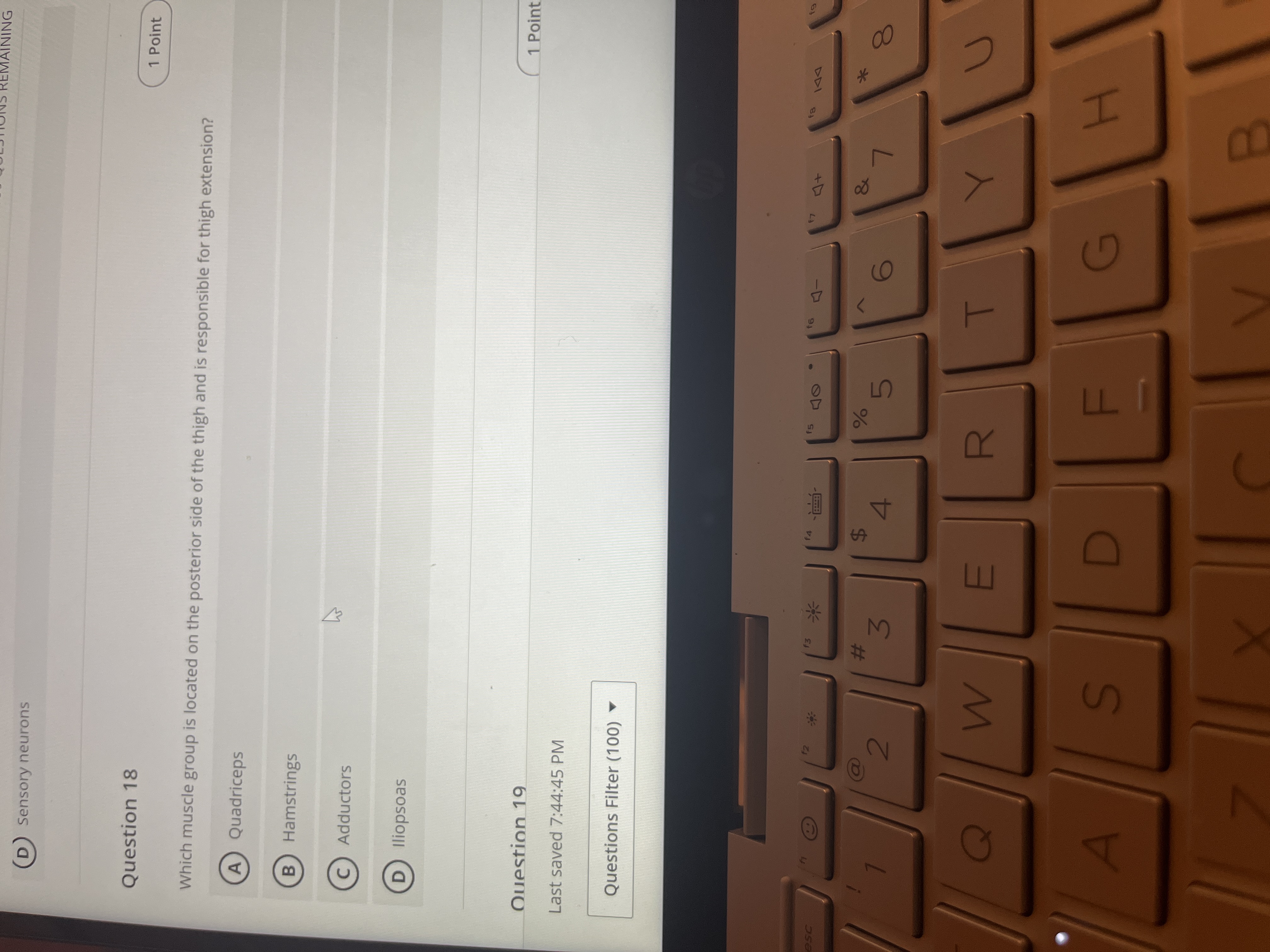 MAINING D Sensory neurons Question 18 1 Point