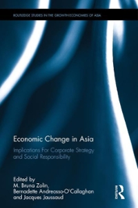 economic change in asia implications for corporate strategy and social responsibility 1st edition m bruna