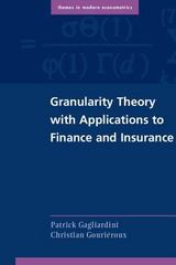 granularity theory with applications to finance and insurance 1st edition patrick gagliardini, christian