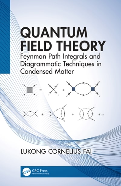 quantum field theory feynman path integrals and diagrammatic techniques in condensed matter 1st edition