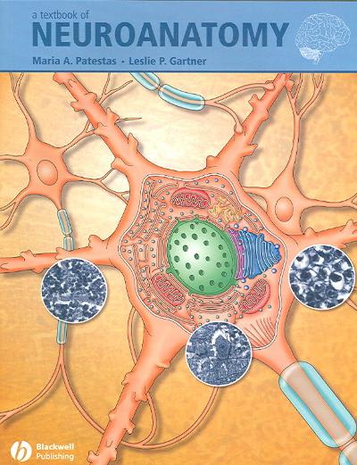 a textbook of neuroanatomy 1st edition maria a patestas, leslie p gartner 140510340x, 9781405103404