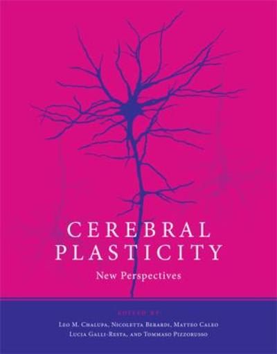 cerebral plasticity new perspectives 1st edition nicoletta berardi, matteo caleo, lucia galli resta, tommaso