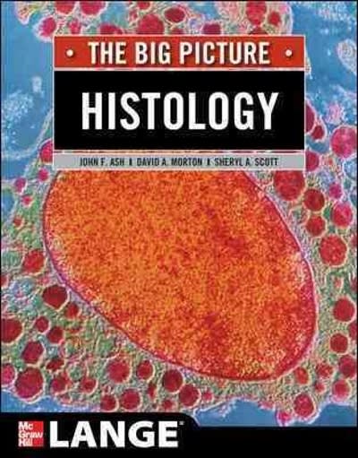 histology the big picture 1st edition john f ash, david a morton, sheryl a scott 0071477586, 9780071477581